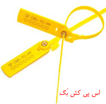 اس پی کش بگ