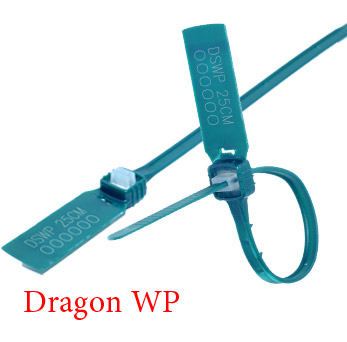 Dragon WP