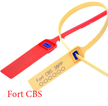 Fort CBS Seal