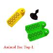 Animal Ear Tag L